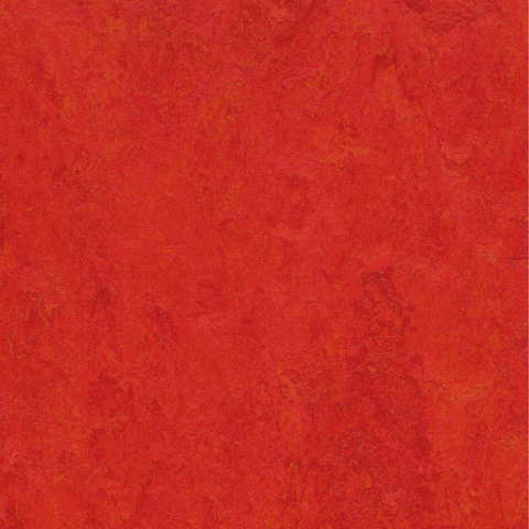 Scarlet 30 x 30cm | Forbo Marmoleum Click Linoleum floor
