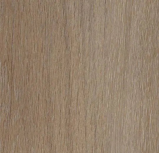 Natural oak | Forbo Enduro Click Luxury Vinyl Tile Floor