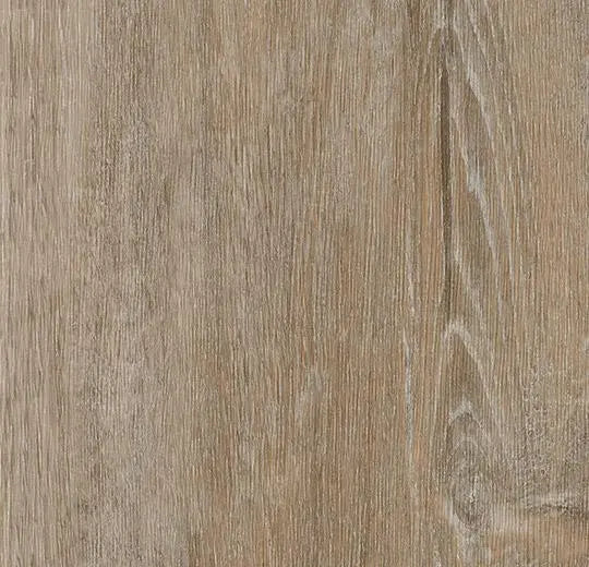 Natural timber | Forbo Enduro Click Luxury Vinyl Tile Floor