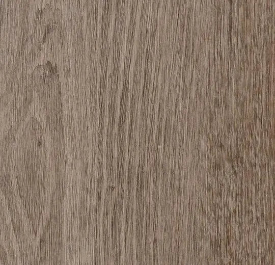 Natural Grey Oak | Forbo Enduro Click Luxury Vinyl Tile Floor